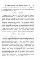 giornale/TO00188160/1906/unico/00000037