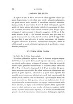 giornale/TO00188160/1906/unico/00000040