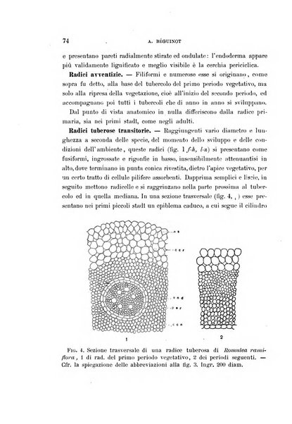 Malpighia rassegna mensuale di botanica