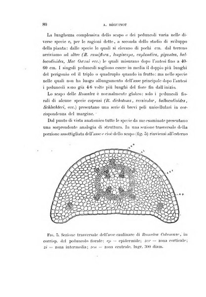 Malpighia rassegna mensuale di botanica