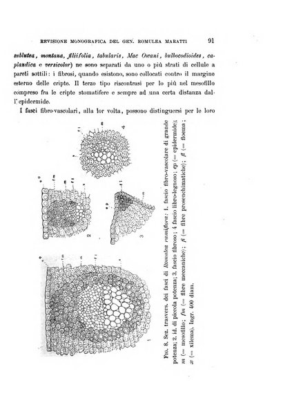 Malpighia rassegna mensuale di botanica