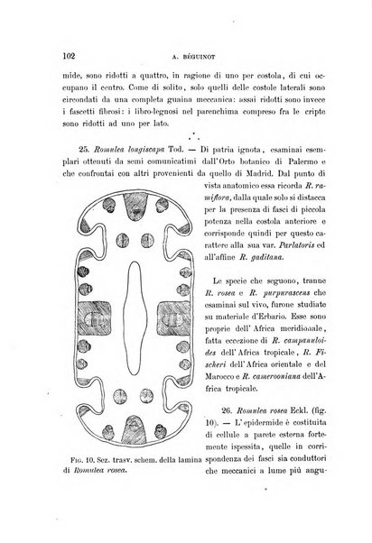 Malpighia rassegna mensuale di botanica