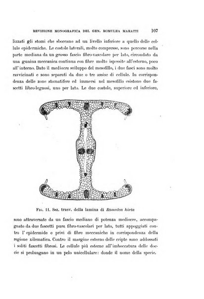 Malpighia rassegna mensuale di botanica