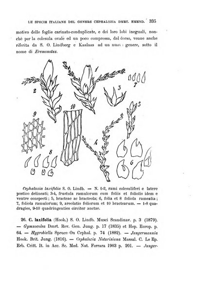 Malpighia rassegna mensuale di botanica