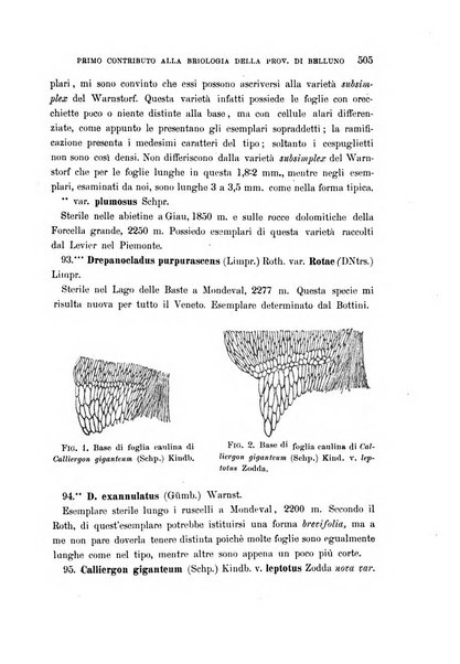 Malpighia rassegna mensuale di botanica