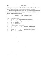 giornale/TO00188160/1911-1912/unico/00000358