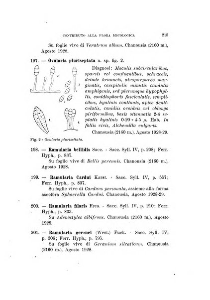 Malpighia rassegna mensuale di botanica