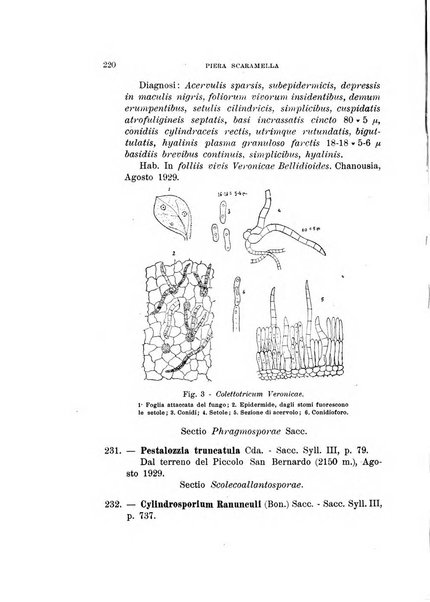 Malpighia rassegna mensuale di botanica