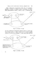 giornale/TO00188160/1934/unico/00000389