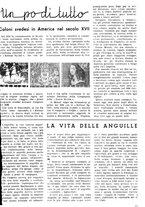 giornale/TO00188208/1946/unico/00000035