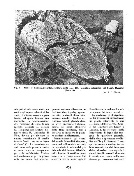 Materie prime d'Italia e dell'Impero rassegna mineraria mensile