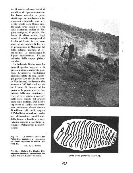 Materie prime d'Italia e dell'Impero rassegna mineraria mensile