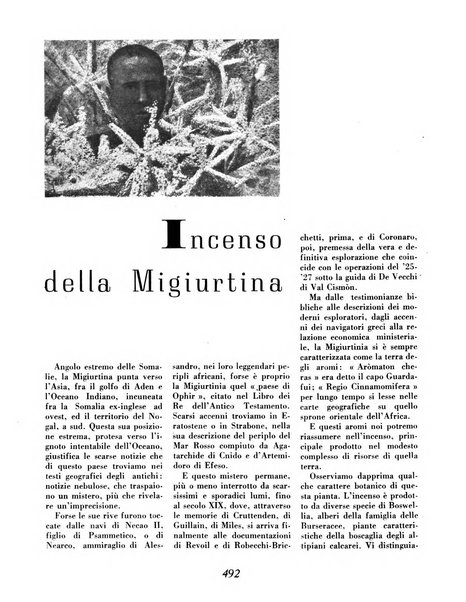 Materie prime d'Italia e dell'Impero rassegna mineraria mensile