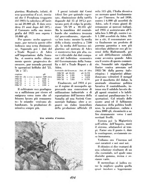 Materie prime d'Italia e dell'Impero rassegna mineraria mensile