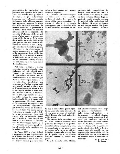 Materie prime d'Italia e dell'Impero rassegna mineraria mensile