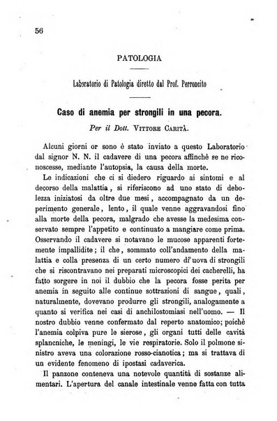 Il medico veterinario giornale teorico-pratico della Regia scuola di medicina veterinaria di Torino