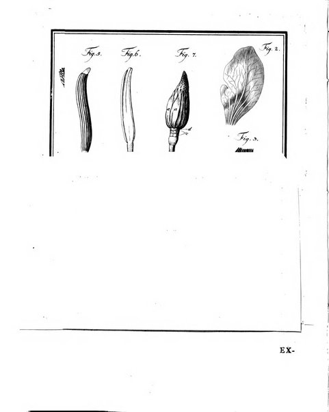 Memoires de l'Academie royale des sciences et belles lettres depuis l'avenement de Frederic Guillaume 2. au throne