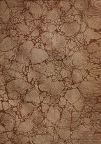 giornale/TO00188721/1909/unico/00000003