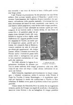 giornale/TO00188721/1910/unico/00000305