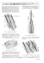 giornale/TO00188951/1918/unico/00000021