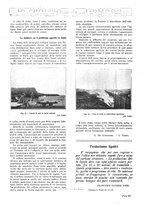 giornale/TO00188951/1918/unico/00000065