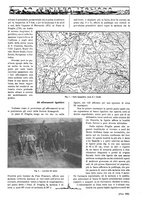 giornale/TO00188951/1918/unico/00000239
