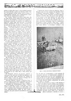giornale/TO00188951/1918/unico/00000419