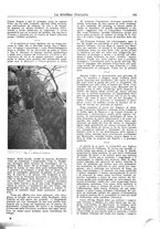 giornale/TO00188951/1922/unico/00000197