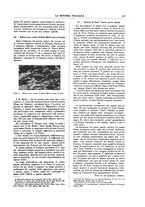 giornale/TO00188951/1928/unico/00000167