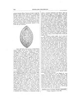 giornale/TO00188984/1898-1899/unico/00000164