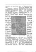 giornale/TO00188984/1906-1908/unico/00000016
