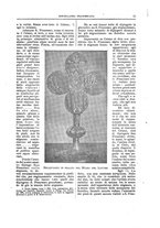giornale/TO00188984/1906-1908/unico/00000017