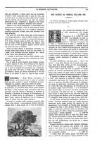 giornale/TO00188999/1885/unico/00000223