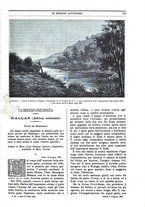 giornale/TO00188999/1886/unico/00000377