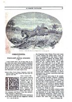 giornale/TO00188999/1887/unico/00000087