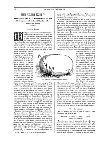 Le missioni cattoliche rivista quindicinale