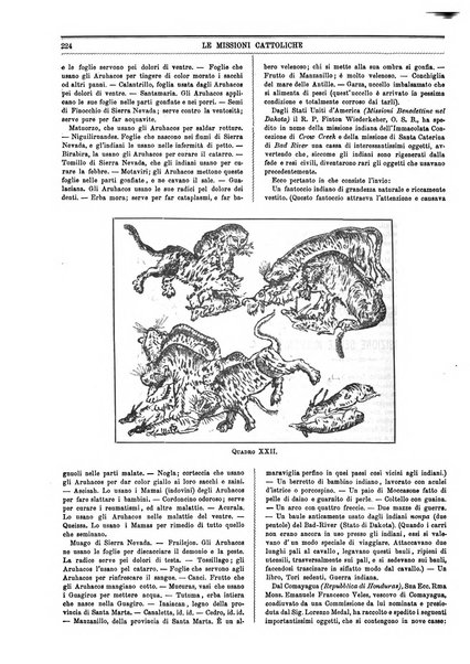 Le missioni cattoliche rivista quindicinale