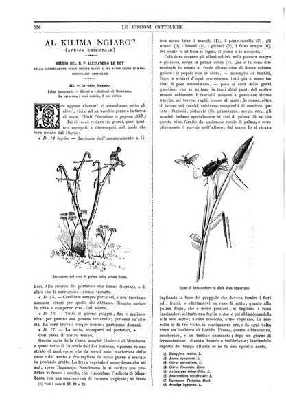 Le missioni cattoliche rivista quindicinale