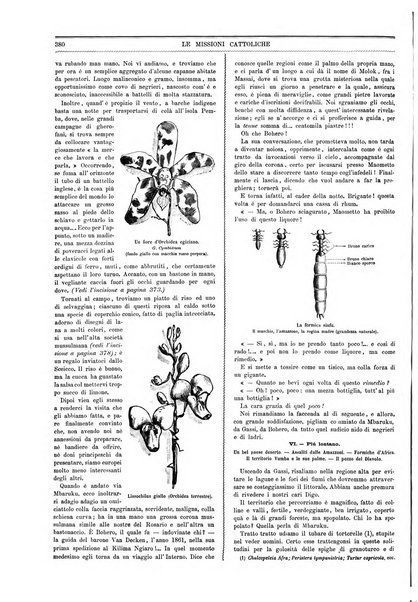 Le missioni cattoliche rivista quindicinale