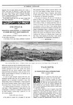 giornale/TO00188999/1894/unico/00000049