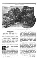 giornale/TO00188999/1895/unico/00000183