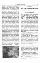 giornale/TO00188999/1896/unico/00000045