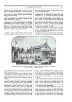 giornale/TO00188999/1897/unico/00000331