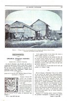 giornale/TO00188999/1897/unico/00000375
