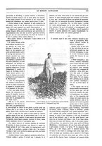 giornale/TO00188999/1897/unico/00000767