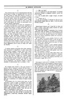 giornale/TO00188999/1898/unico/00000397