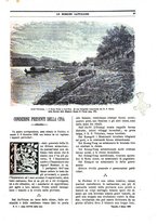 giornale/TO00188999/1899/unico/00000135