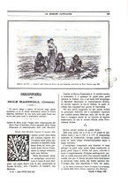 giornale/TO00188999/1899/unico/00000311