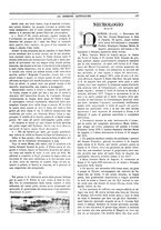 giornale/TO00188999/1900/unico/00000605