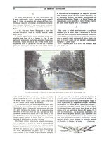 giornale/TO00188999/1901/unico/00000270